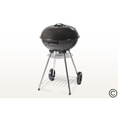Угольный гриль Start Grill DERBY SG