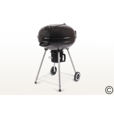 Угольный гриль Start Grill BISON